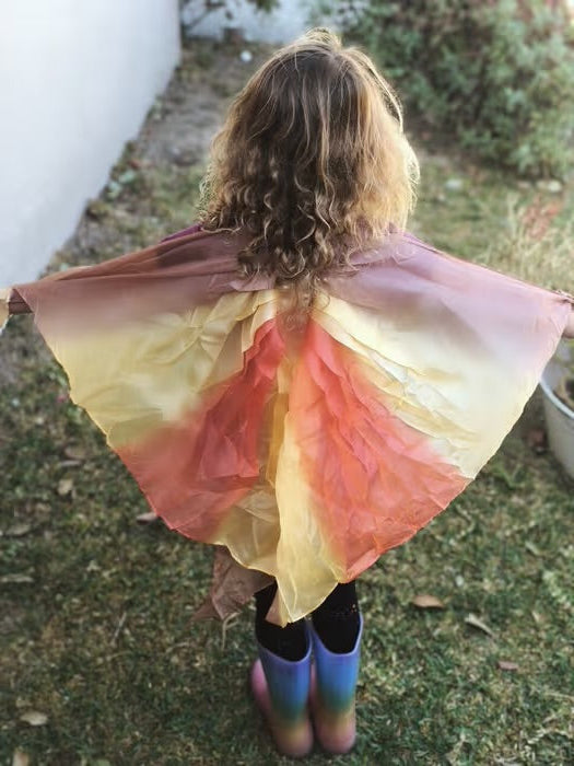 Handpainted Silk Wings | Desert