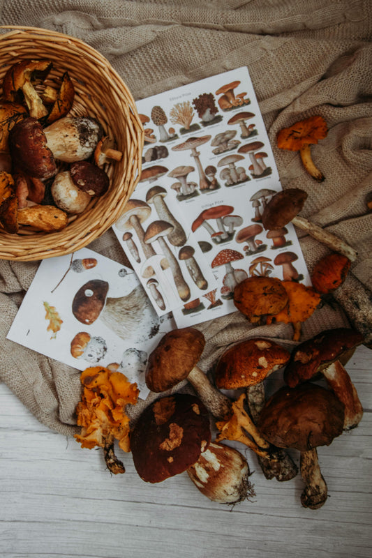 Welcoming Mabon and the Autumn Equinox