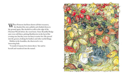 Brambly Hedge | Autumn Story