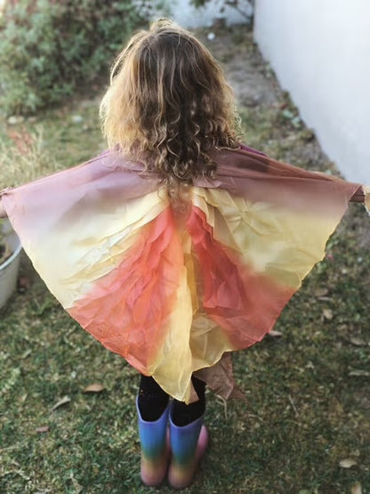 Handpainted Silk Wings | Desert