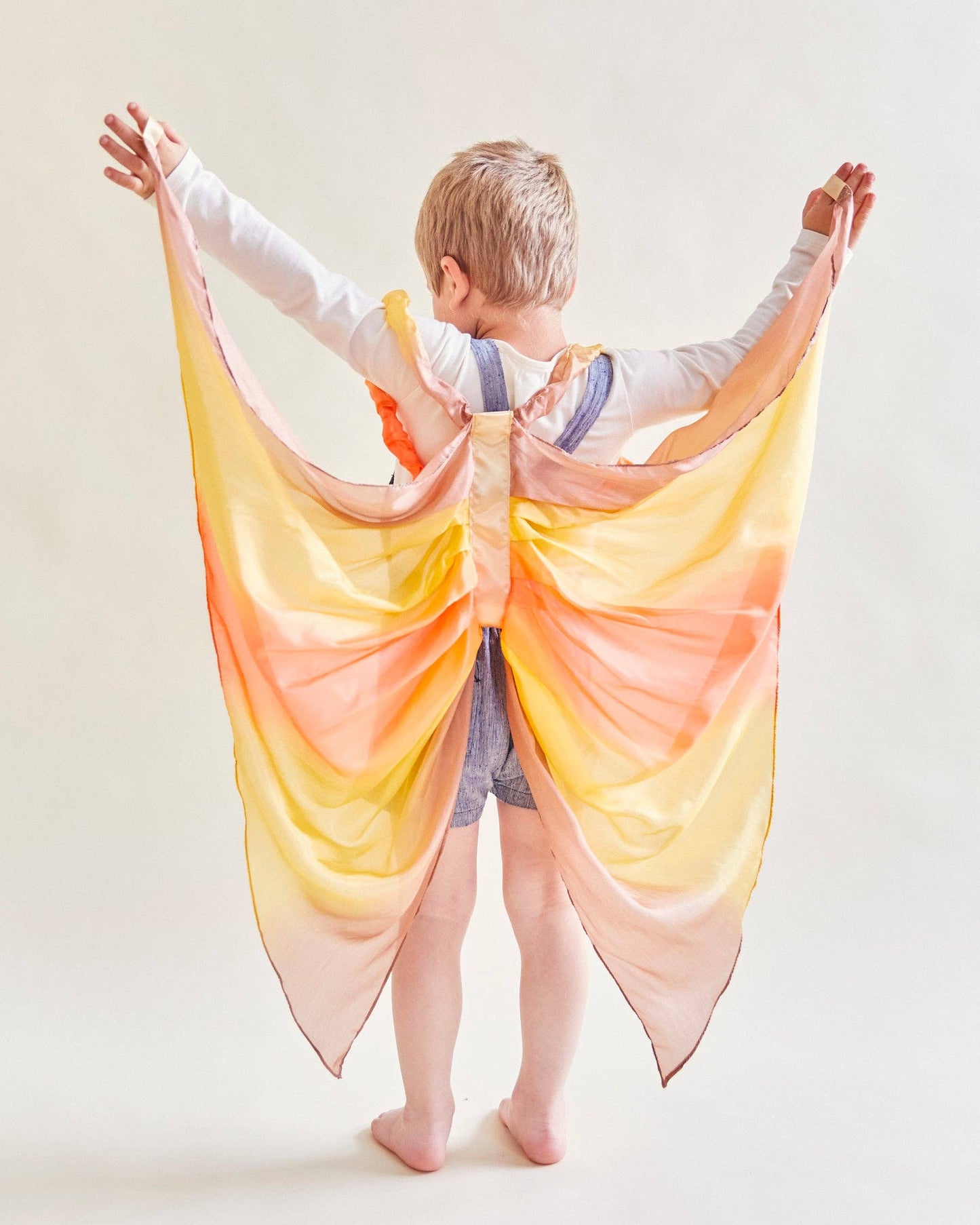 Handpainted Silk Wings | Desert