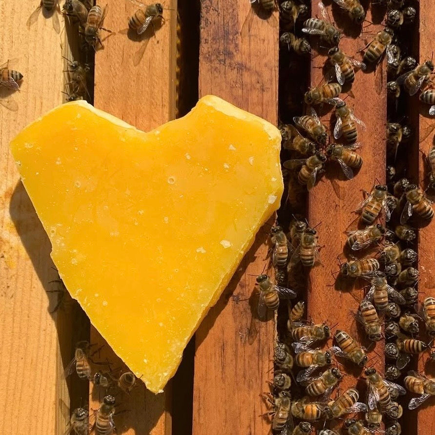 Beeswax Tea Light Candles | Set of Six