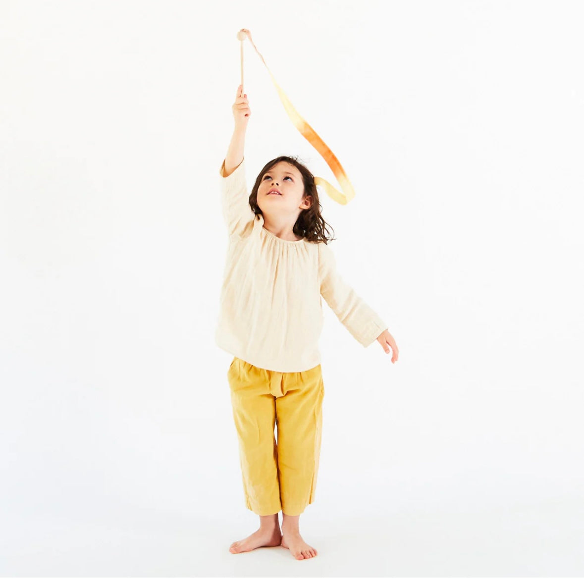 Handpainted Silk Streamer | Desert