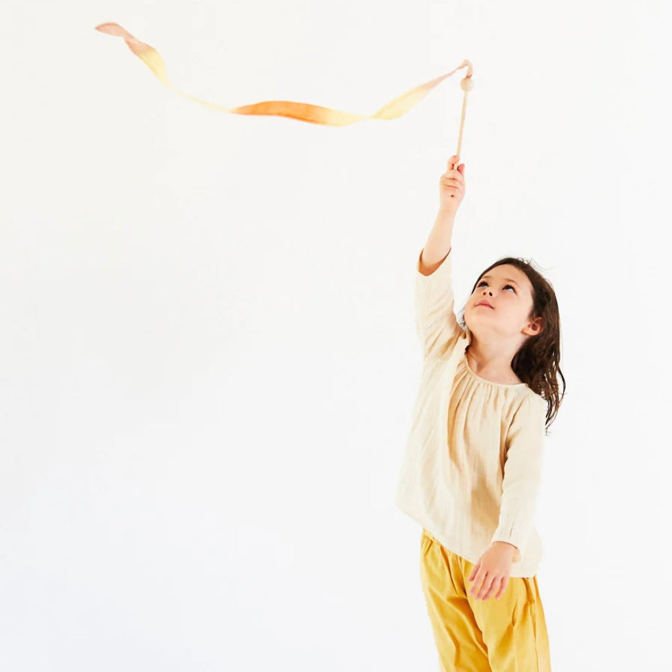 Handpainted Silk Streamer | Desert