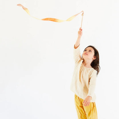 Handpainted Silk Streamer | Desert