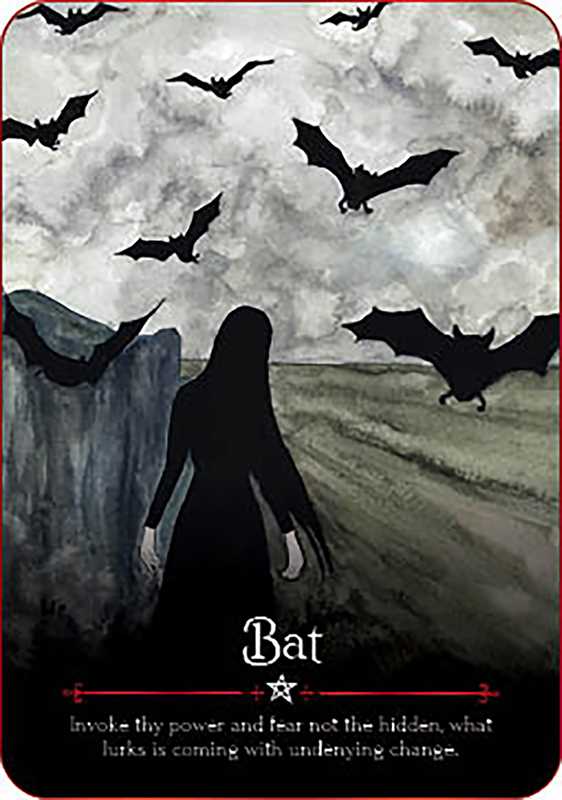 A samhain oracle deck for cards.